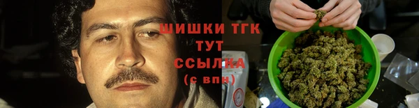 дмт Алексеевка