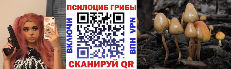 Псилоцибиновые грибы прущие грибы  Родники 